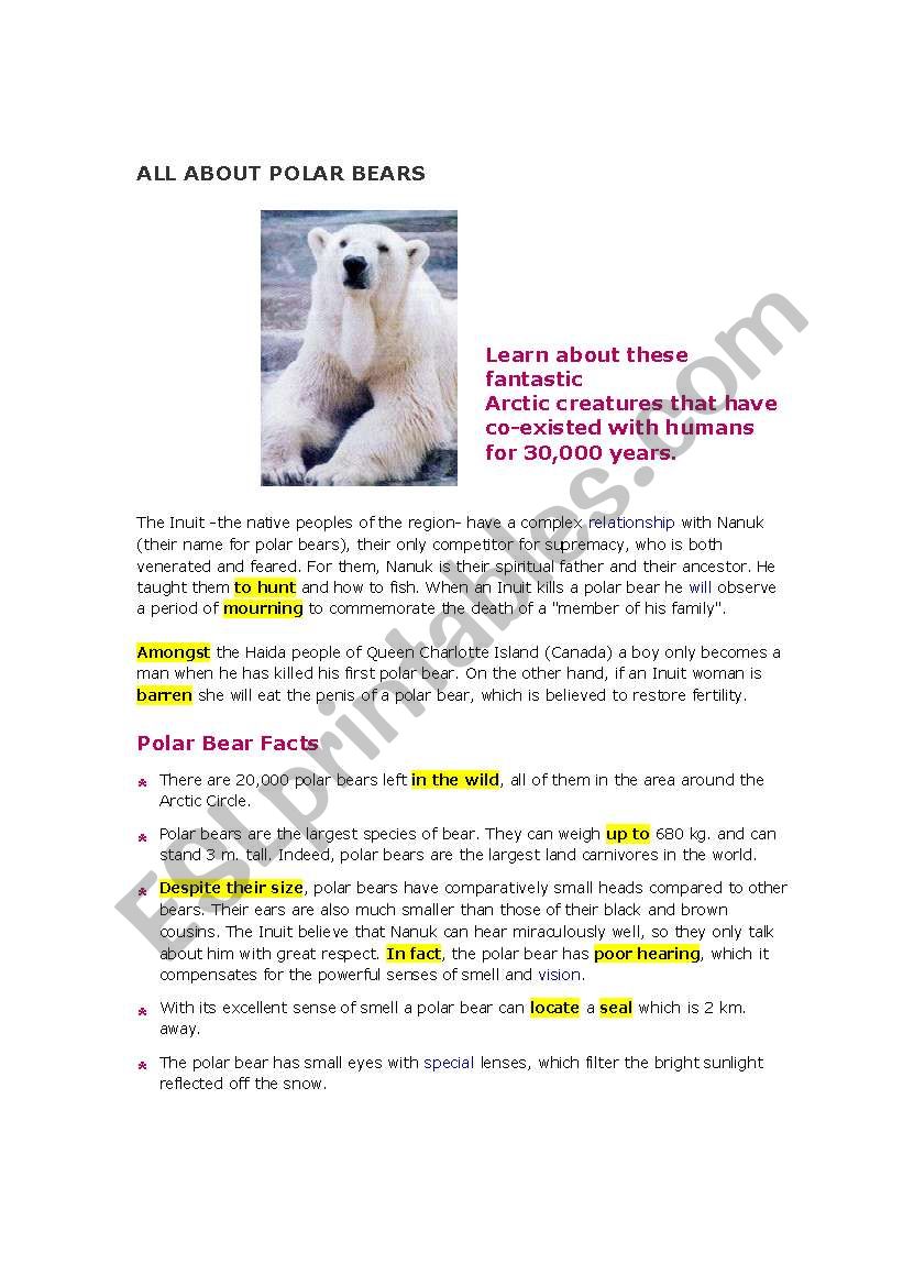 Polar Bears worksheet