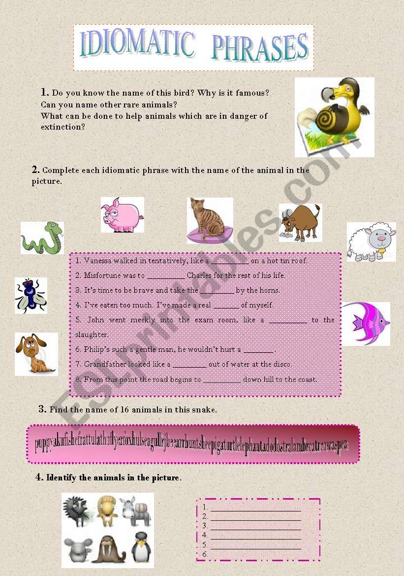 ANIMAL IDIOMS worksheet