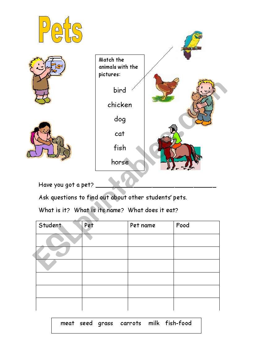 Pets worksheet