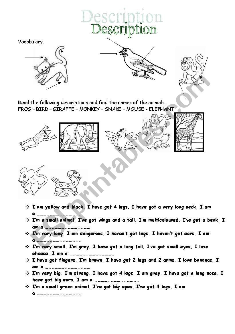 Animal description worksheet