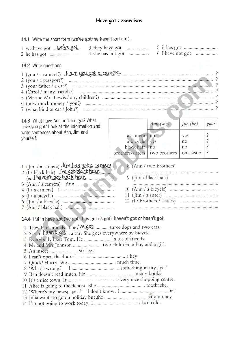 Grammar: have got worksheet