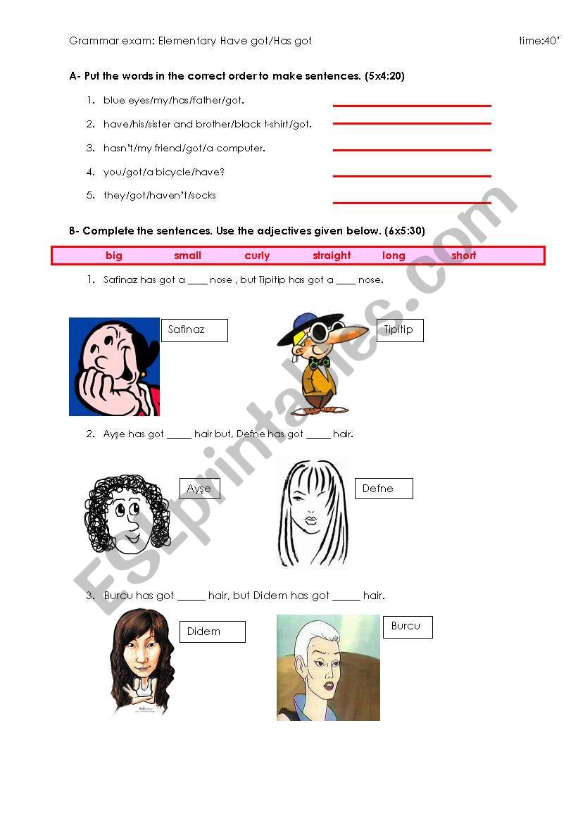 ELEMENTARY EXAM- have/has got worksheet