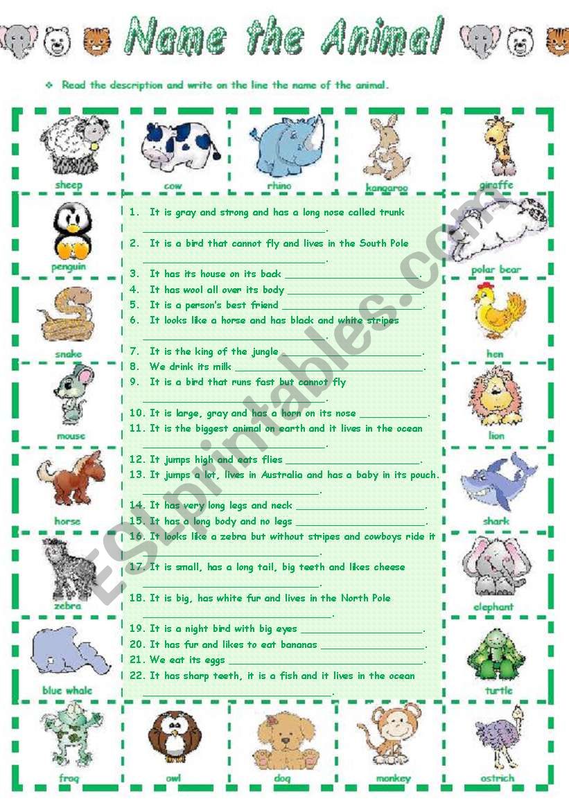 Name the Animal worksheet