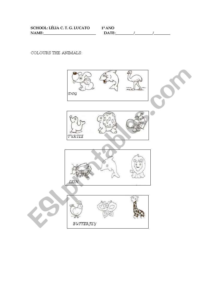 ANIMALS worksheet