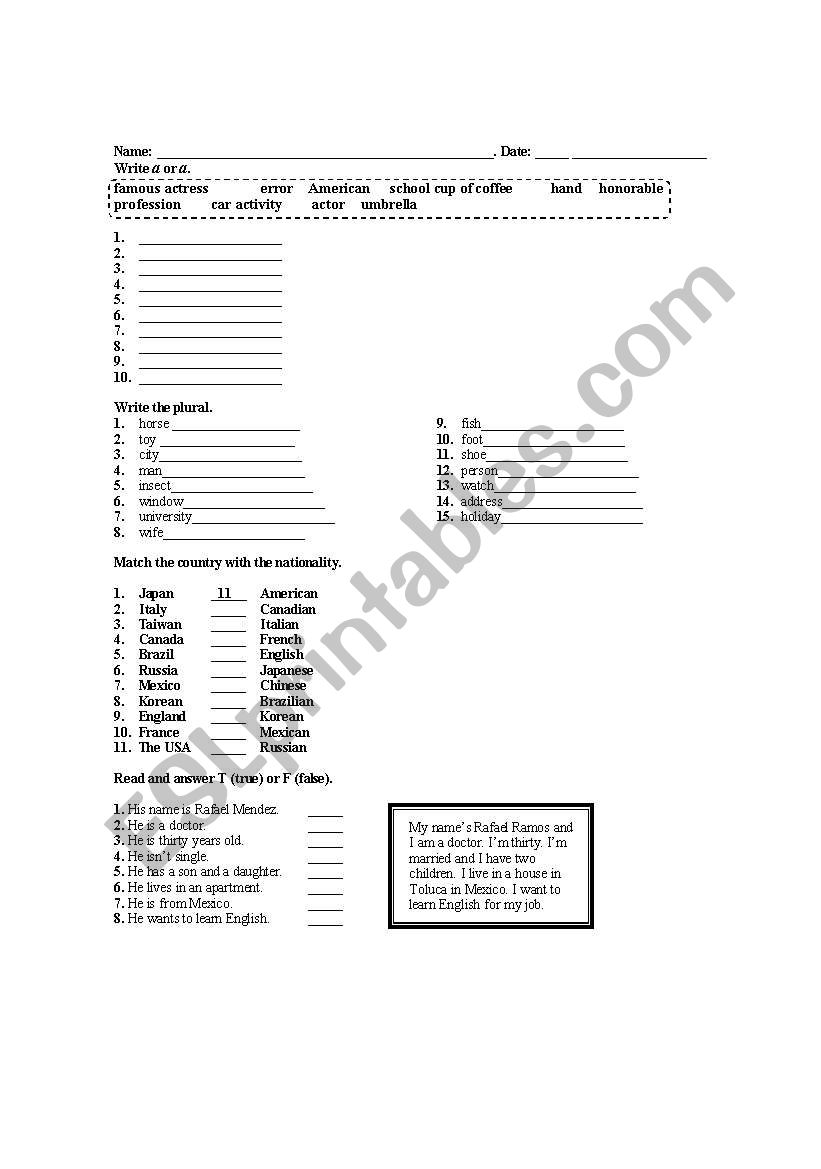 singular and plural nouns worksheet