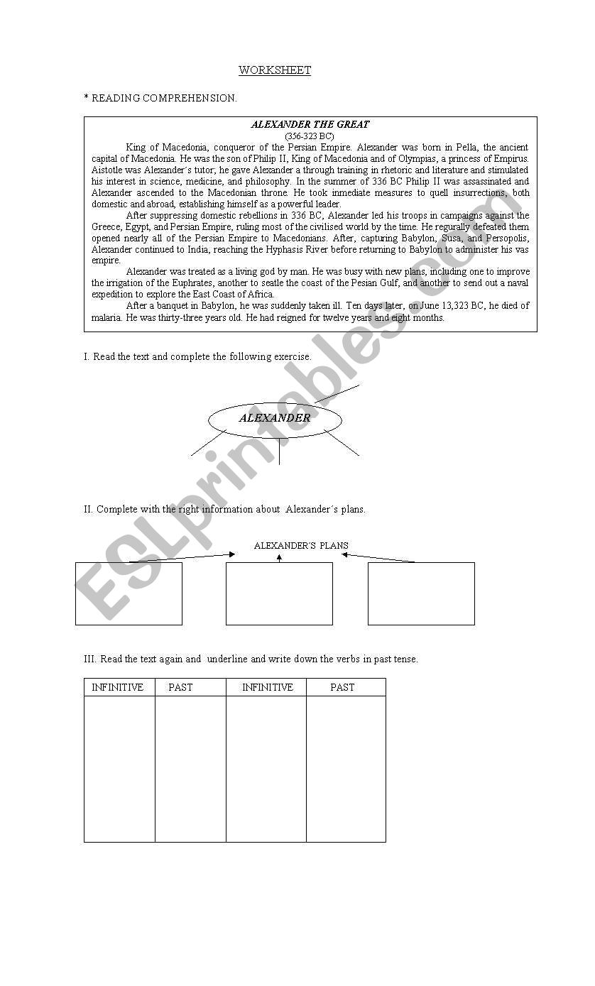 reading comprehension worksheet