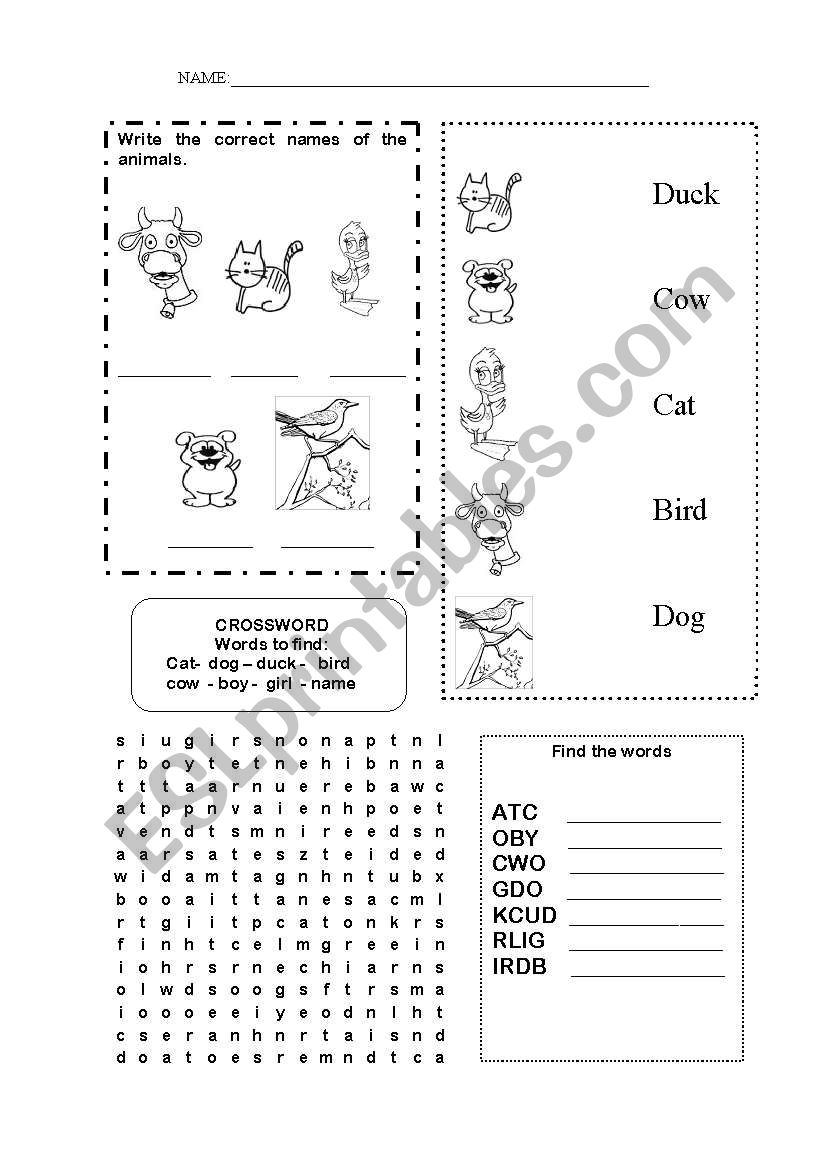 animals worksheet