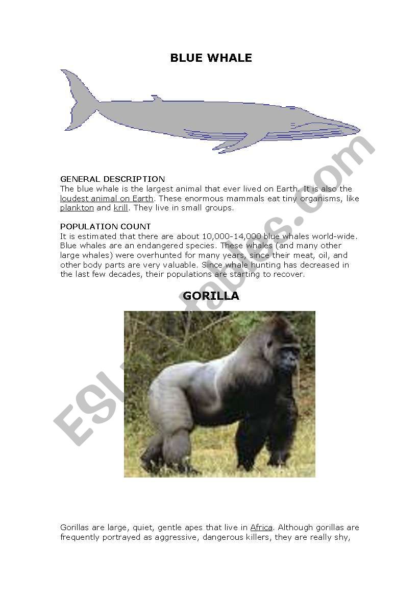 Endangered animals worksheet