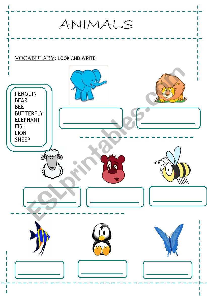 Animals - Look and Write worksheet