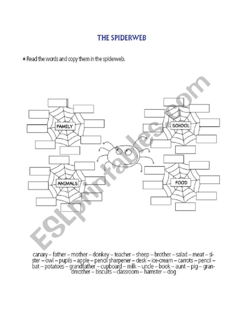 spiderweb worksheet