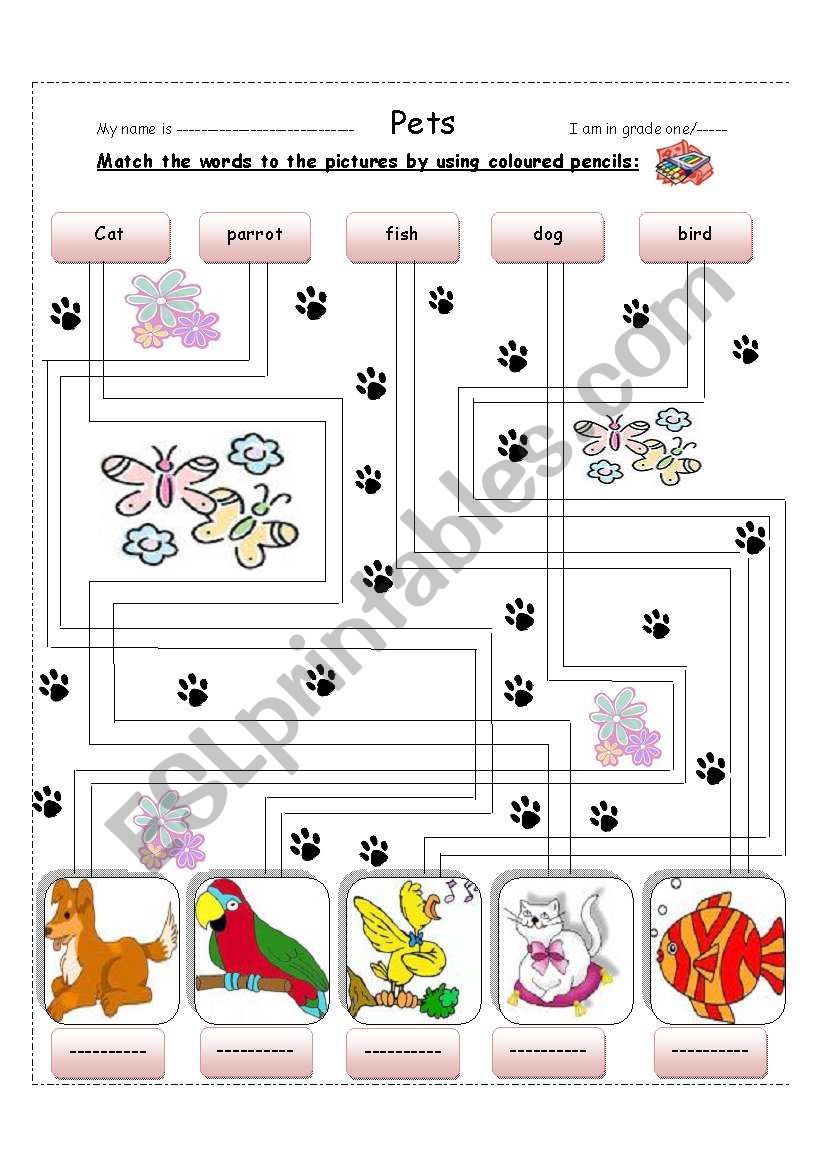 Pets worksheet