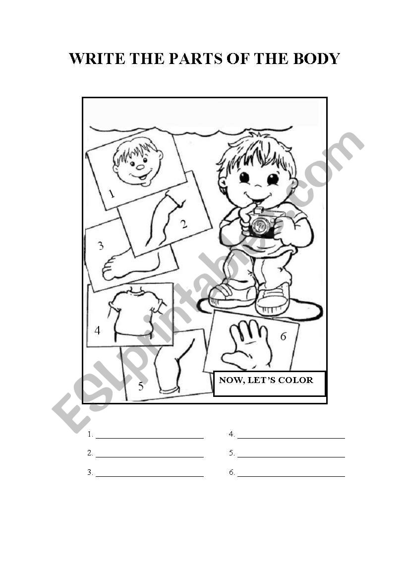 Body Parts worksheet