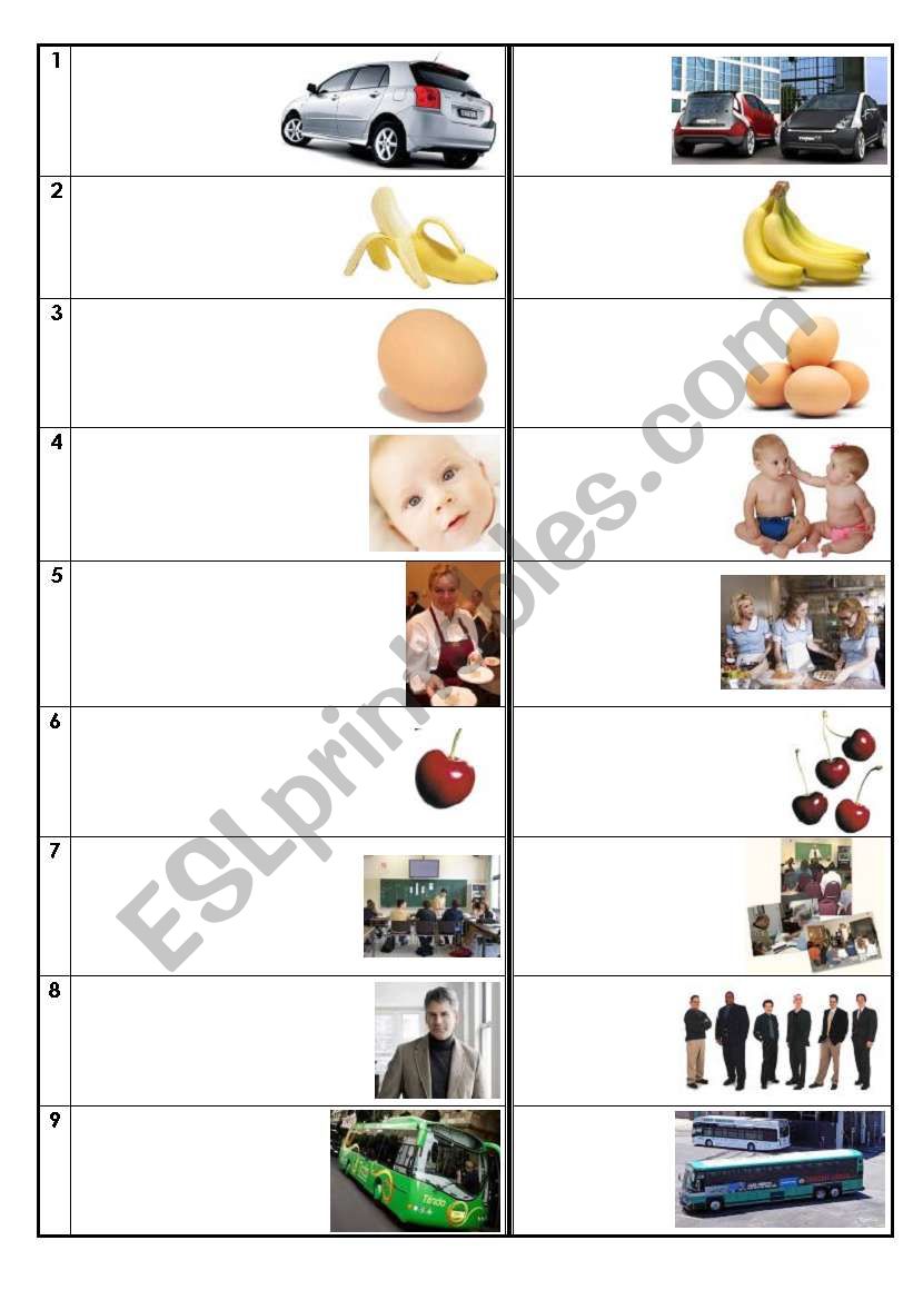 Singular - Plural worksheet