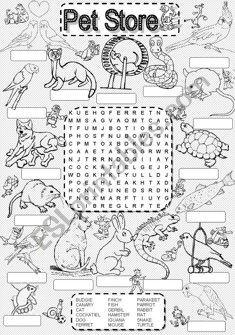 wordsearch PET STORE worksheet