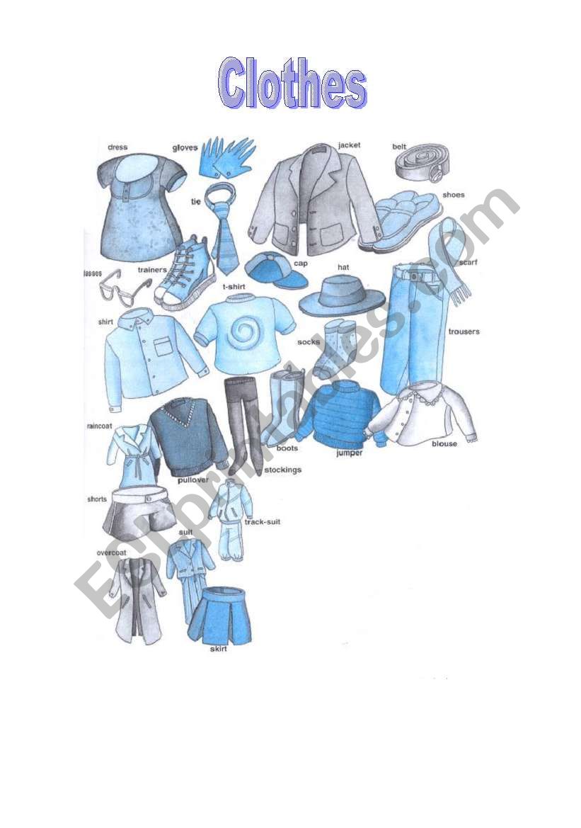 Clothes worksheet