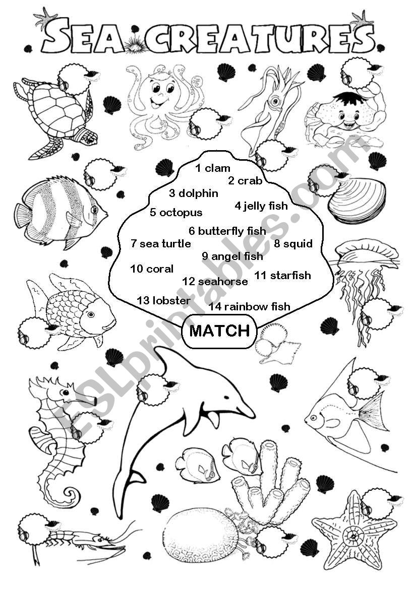 Sea creatures  worksheet