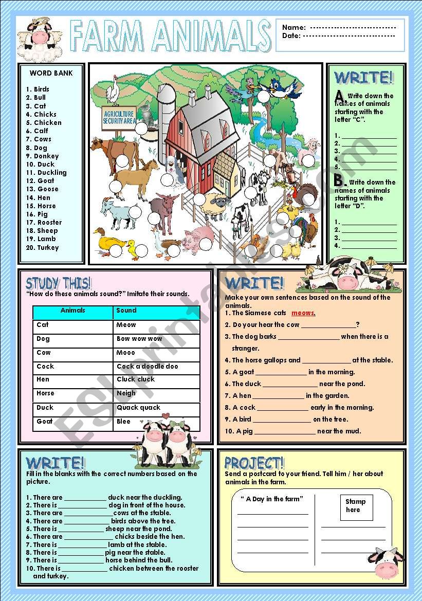 Farm animals worksheet