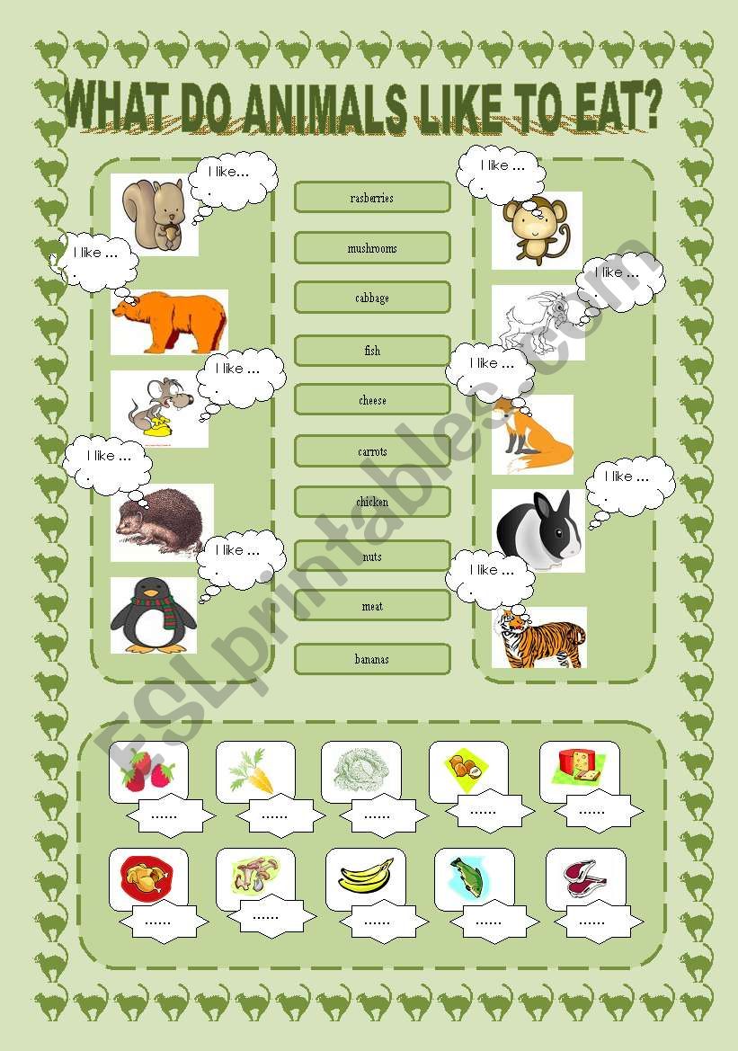 What Do Animals Like to Eat? worksheet