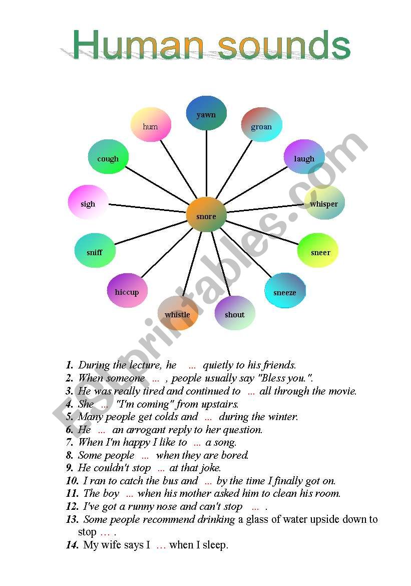 Human sounds. worksheet