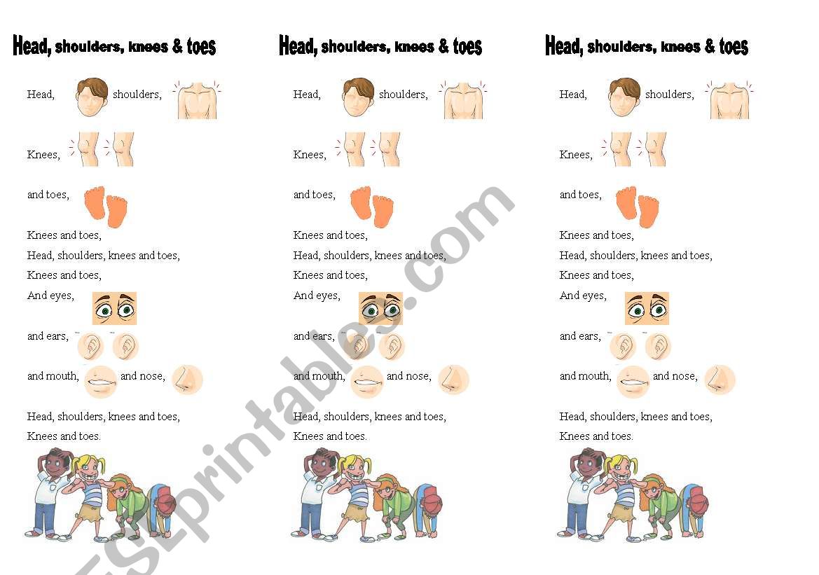 head shoulders knees and toes worksheet