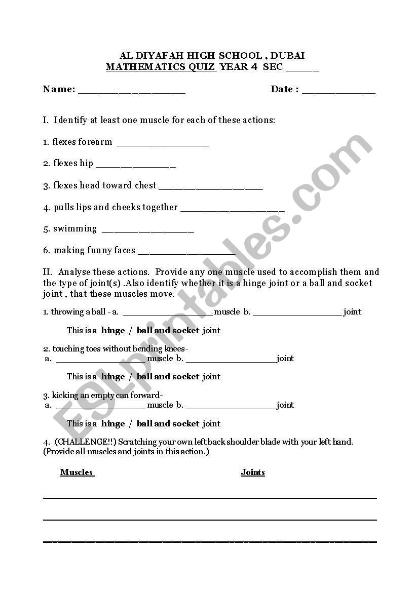 muscles worksheet