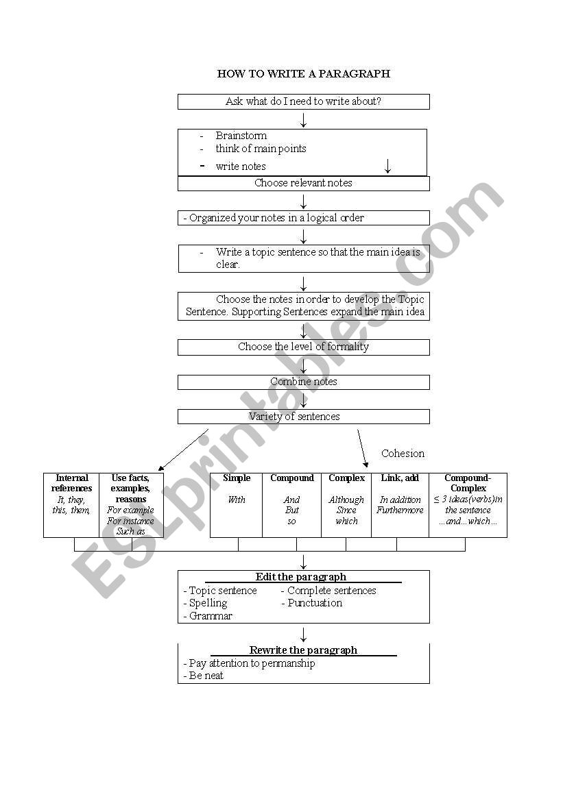 paragraphing 101 worksheet