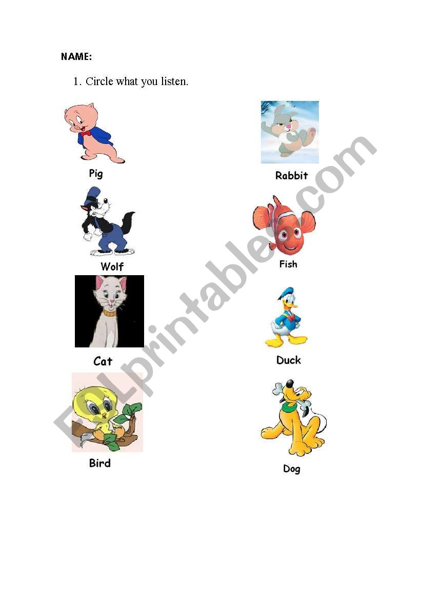 Animals worksheet