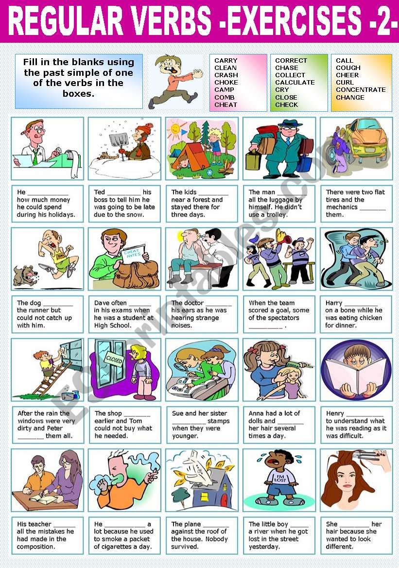 REGULAR VERBS EXERCISES (2) worksheet