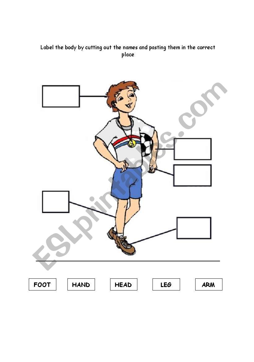 Parts of the body worksheet