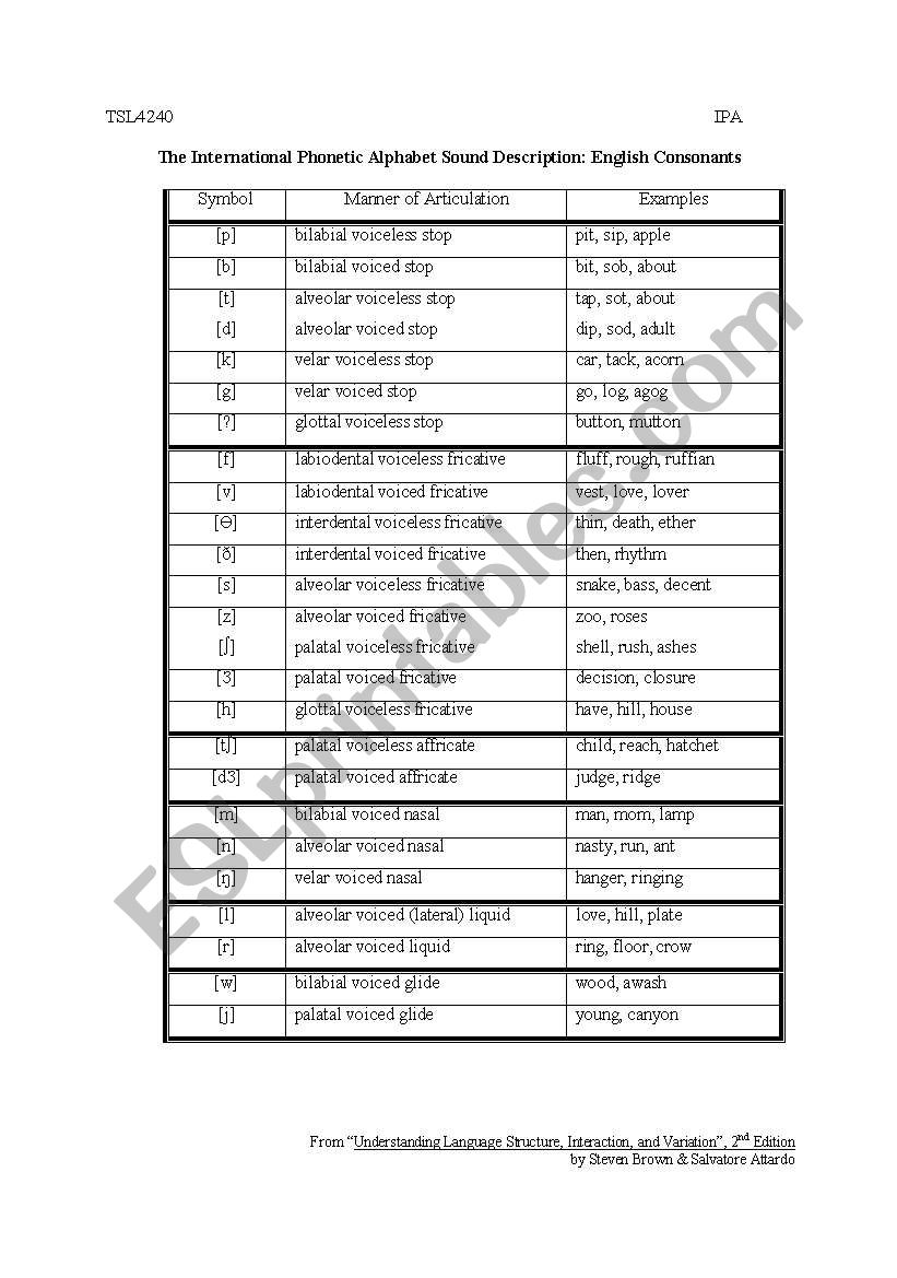 phonetic alphabet  worksheet