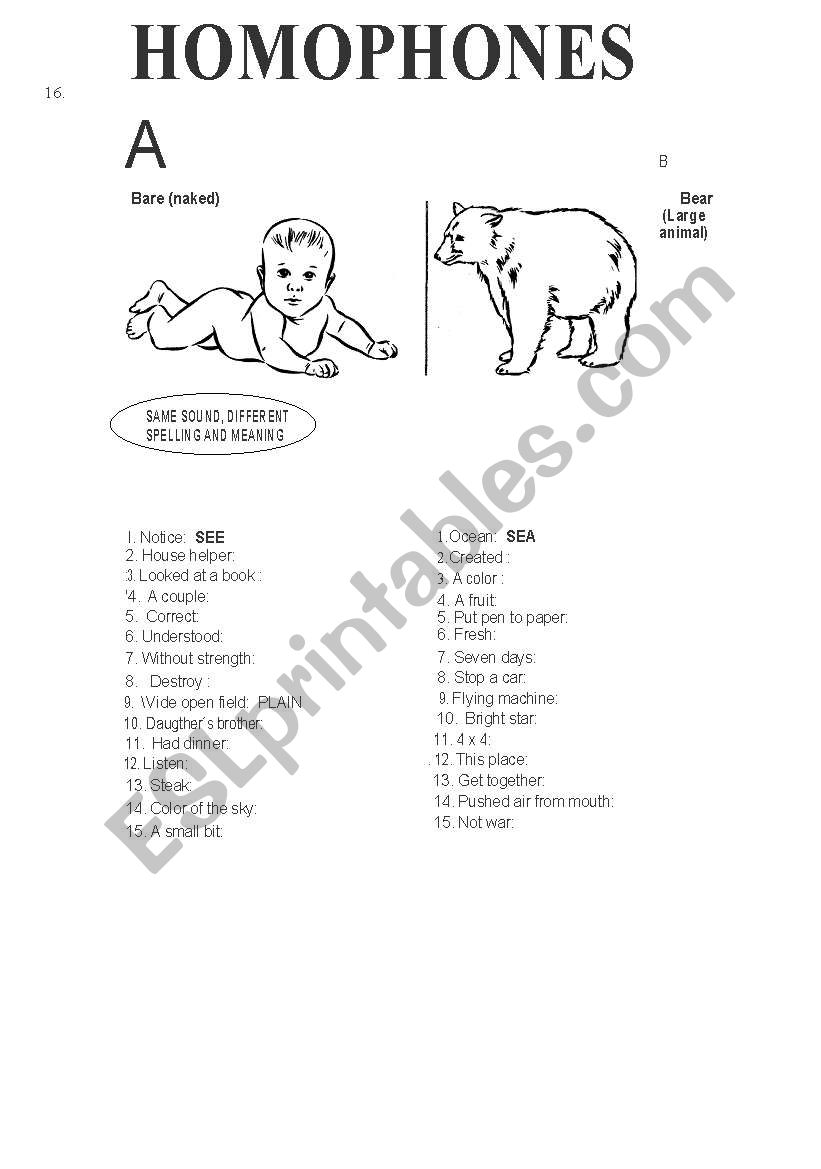 HOMOPHONES worksheet