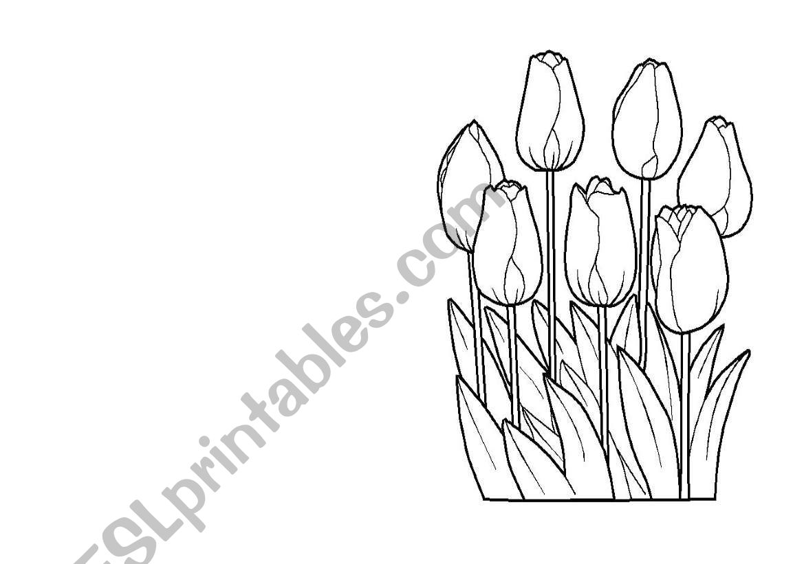 MOTHERS DAY CARD worksheet