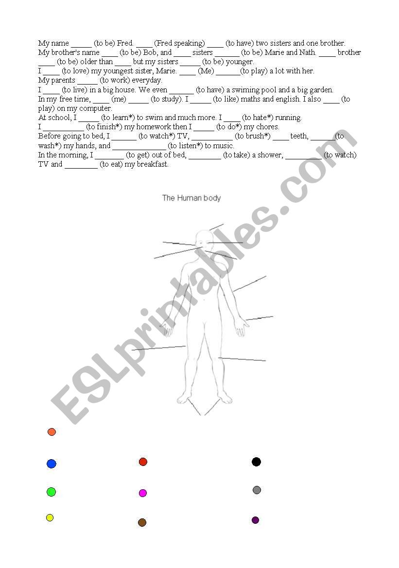 verbs, human body and colours worksheet