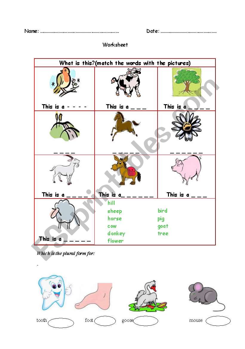 Animals and other words worksheet