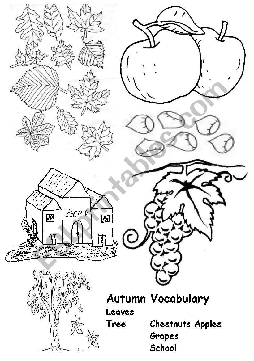 autumn vocabulary worksheet