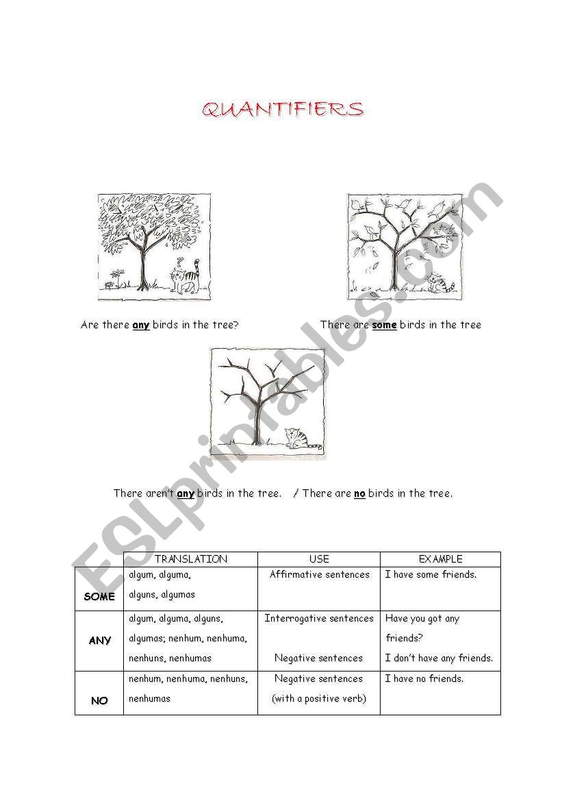 Quantifiers: some, any, no worksheet