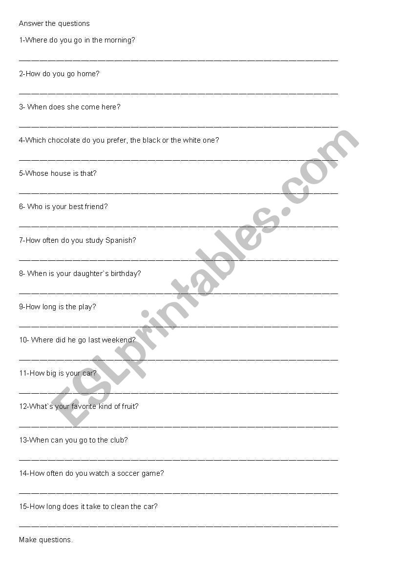 Make and Answer the Questions worksheet