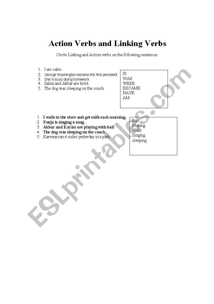 VERB worksheet