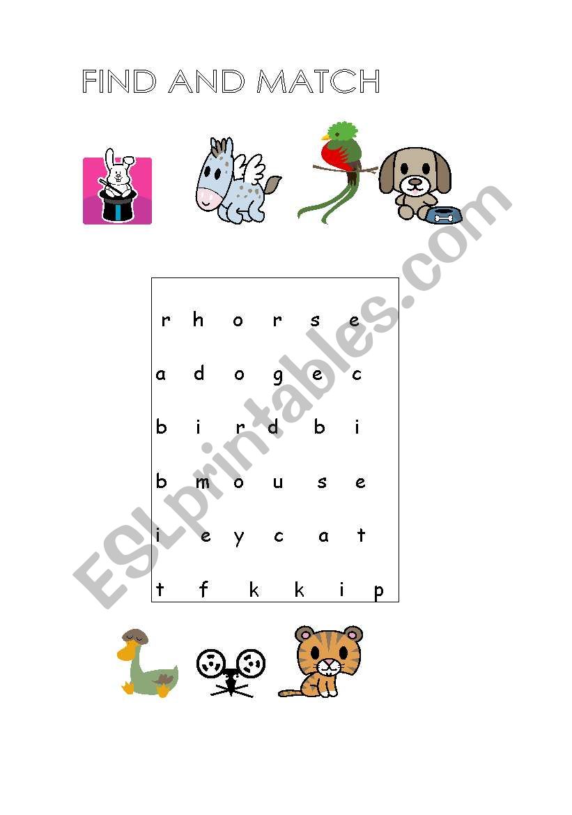 animals  worksheet