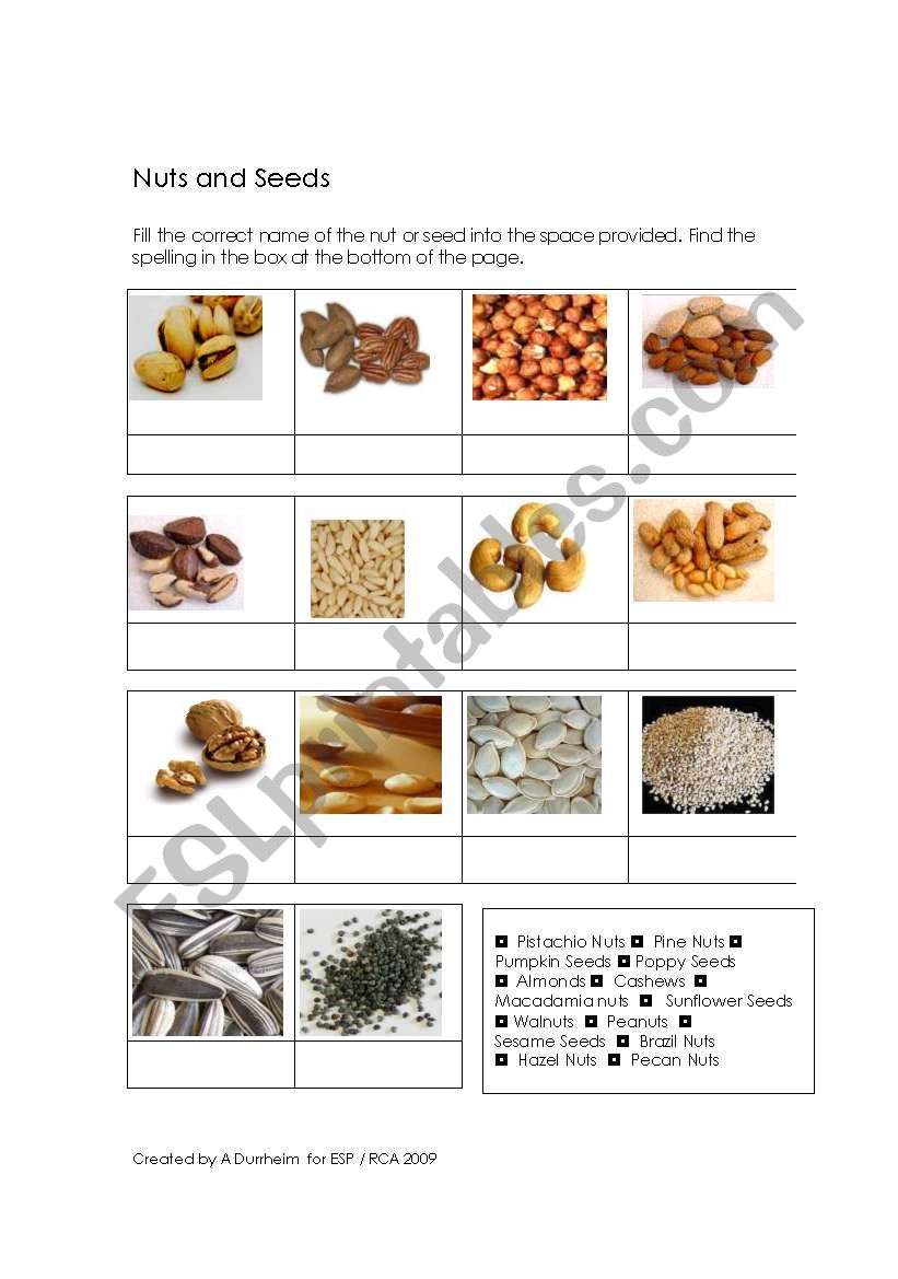 Nuts and Seeds worksheet