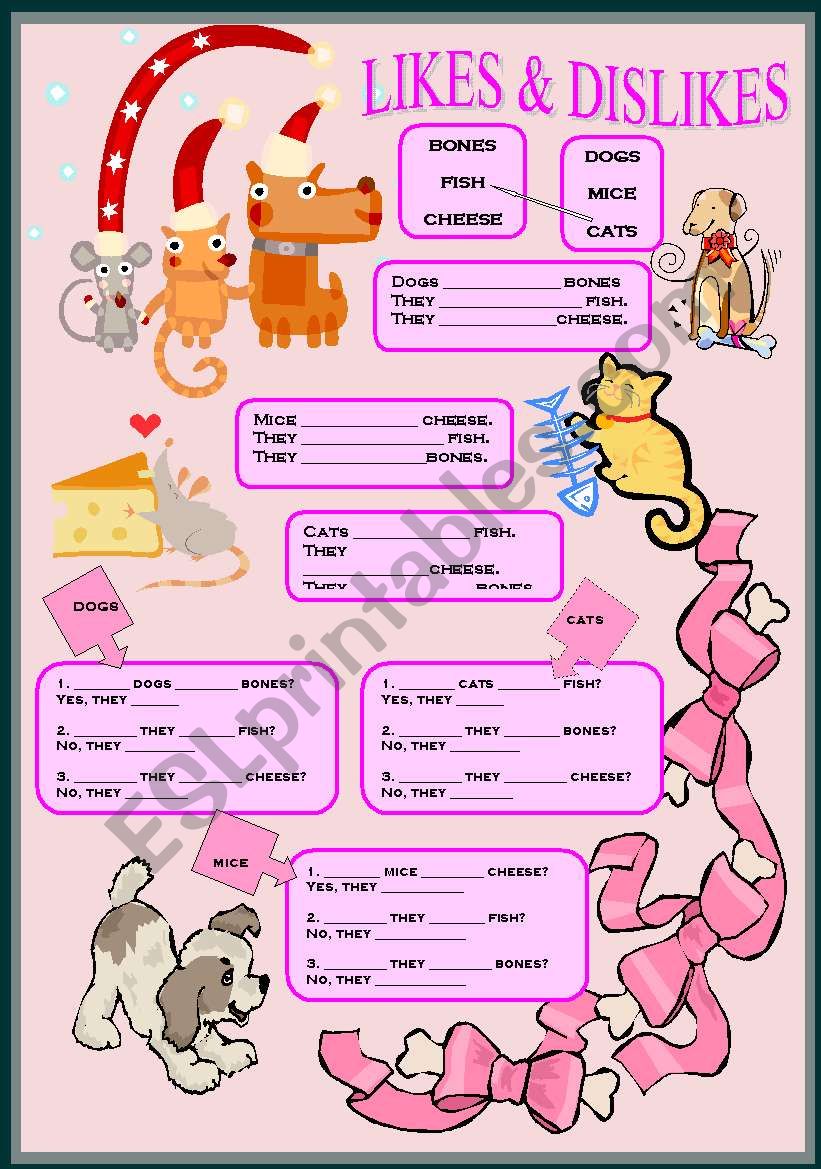 LIKES & DISLIKES worksheet