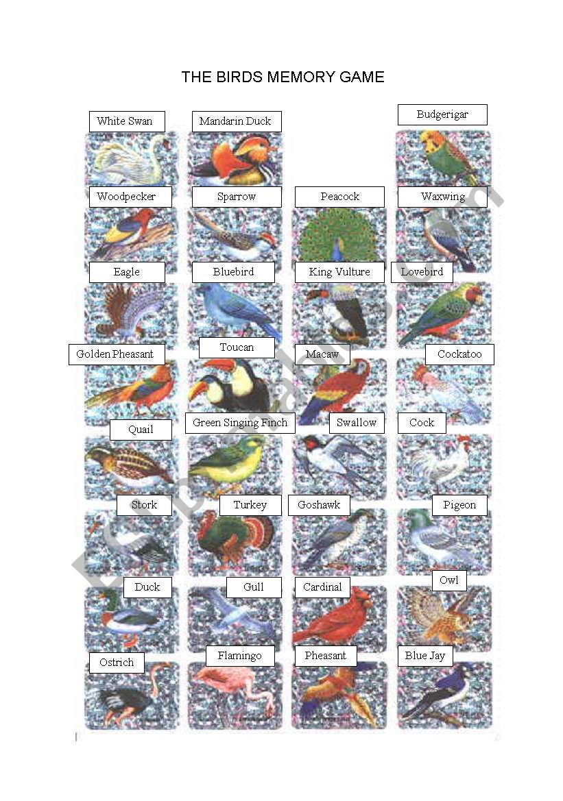 A MEMORY GAME-BIRDS worksheet