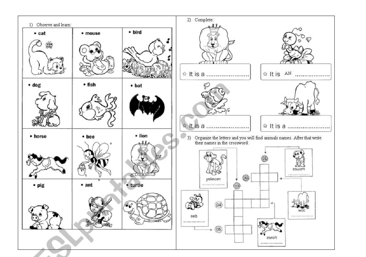 Animals worksheet