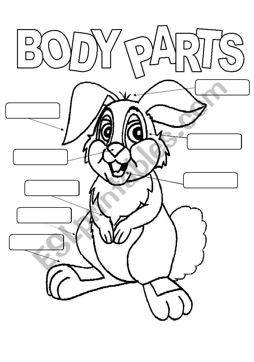 Lable the parts of the bunny worksheet