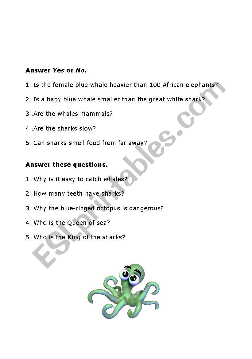 Sea animals test worksheet