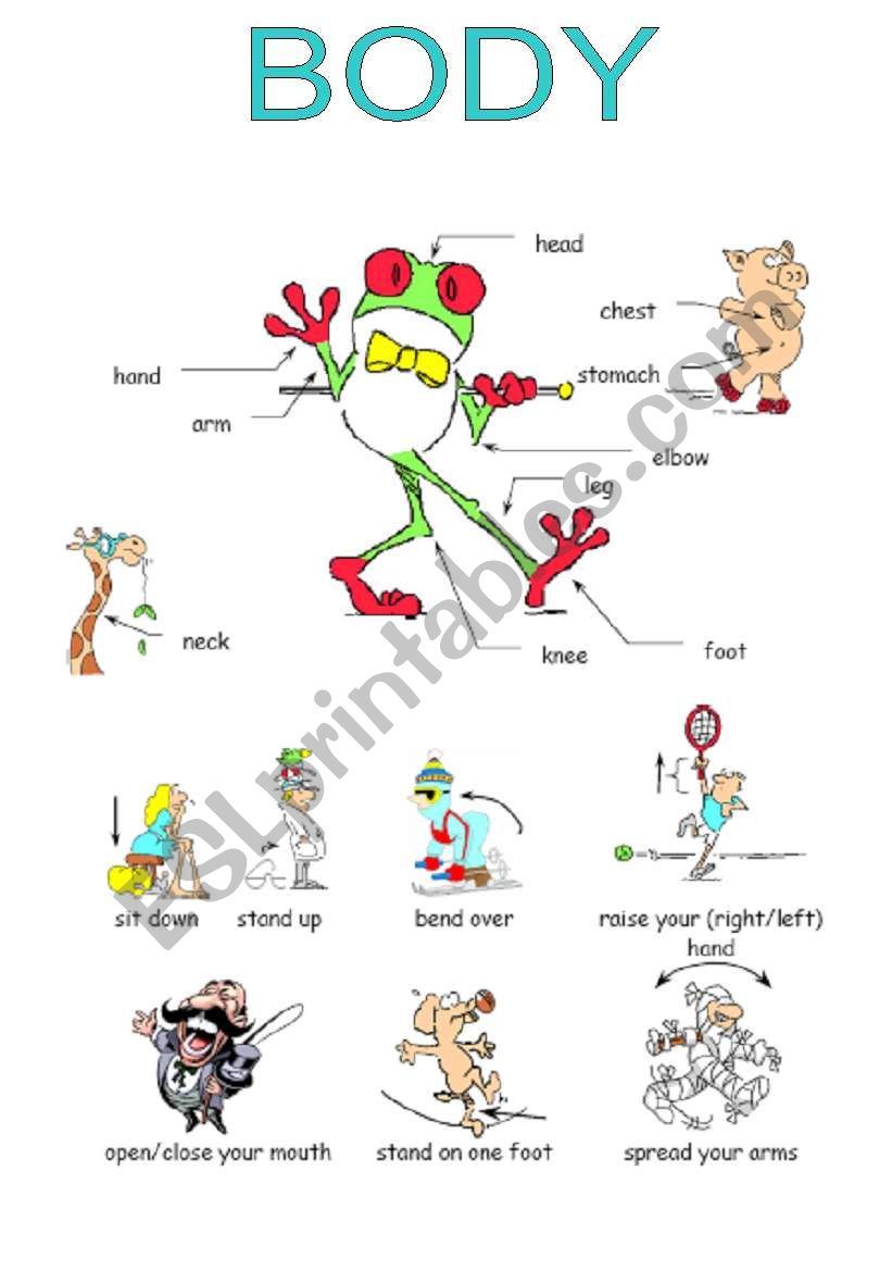 body parts worksheet