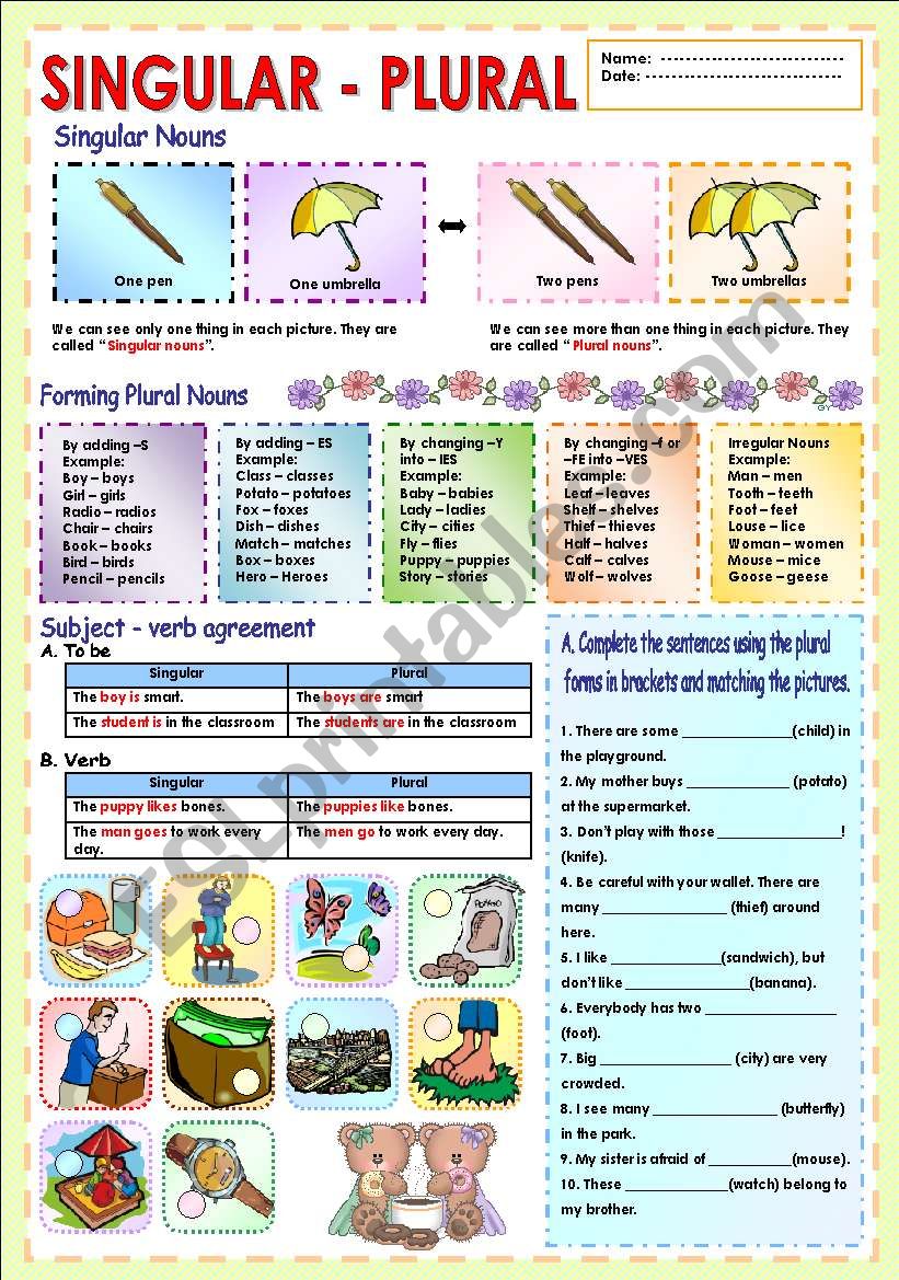 Singular and plural of nouns worksheet