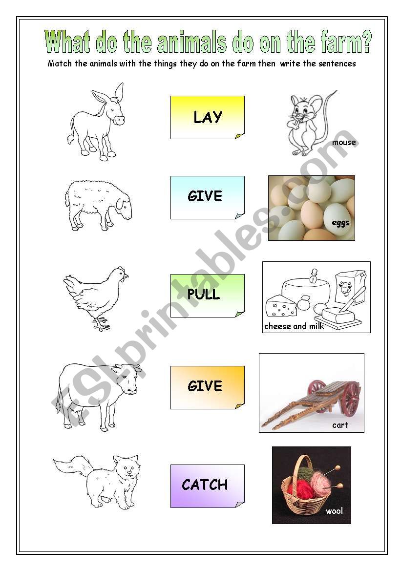 English worksheets: What do the animals do on the farm?