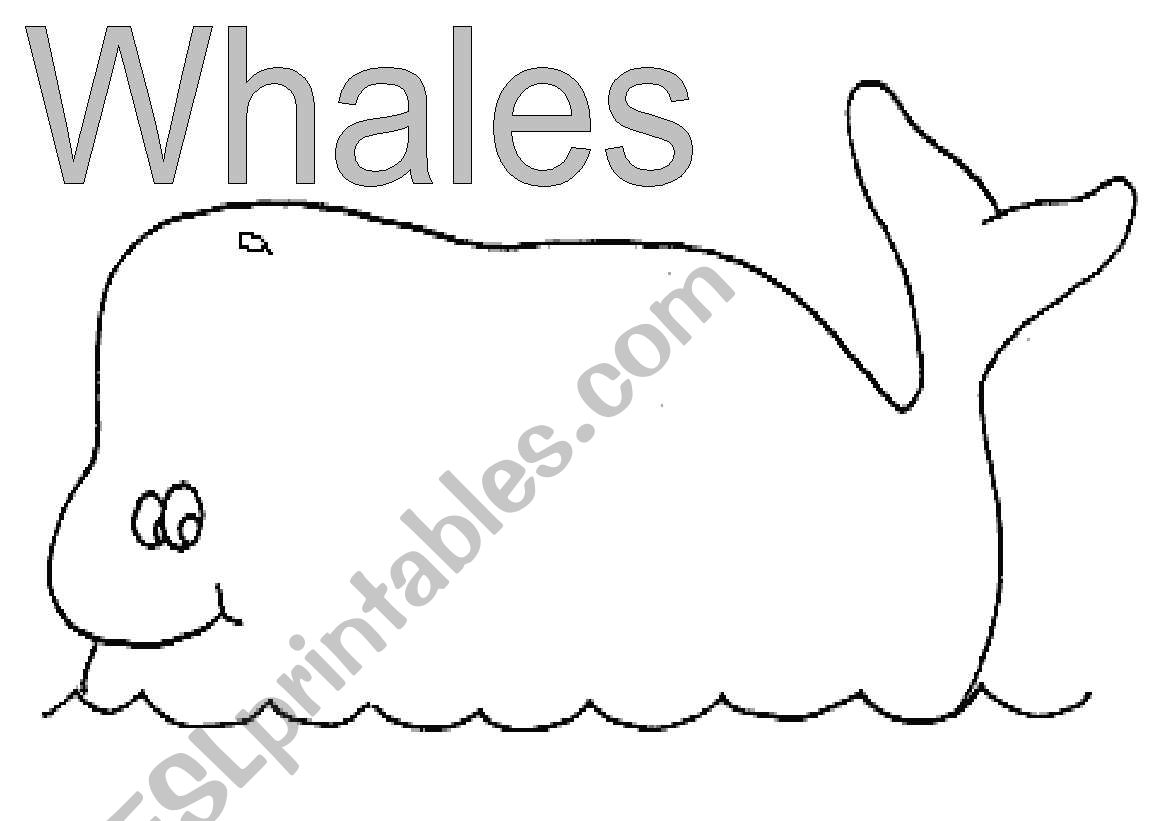 whale poem template worksheet