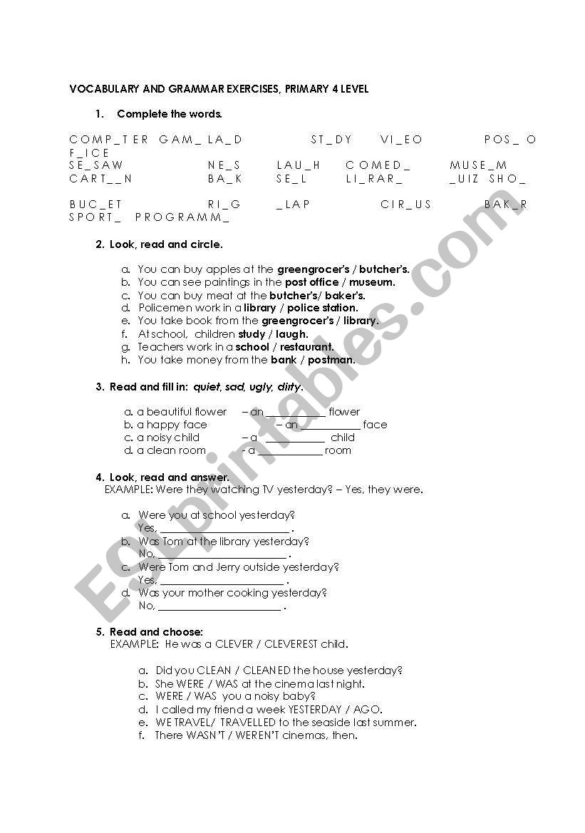 Past simple Tense and general vocabulary